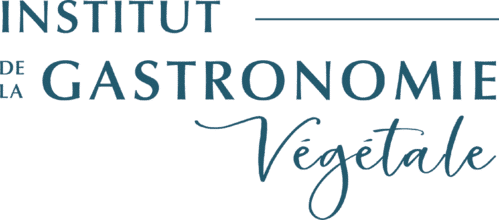 institut-v-logo
